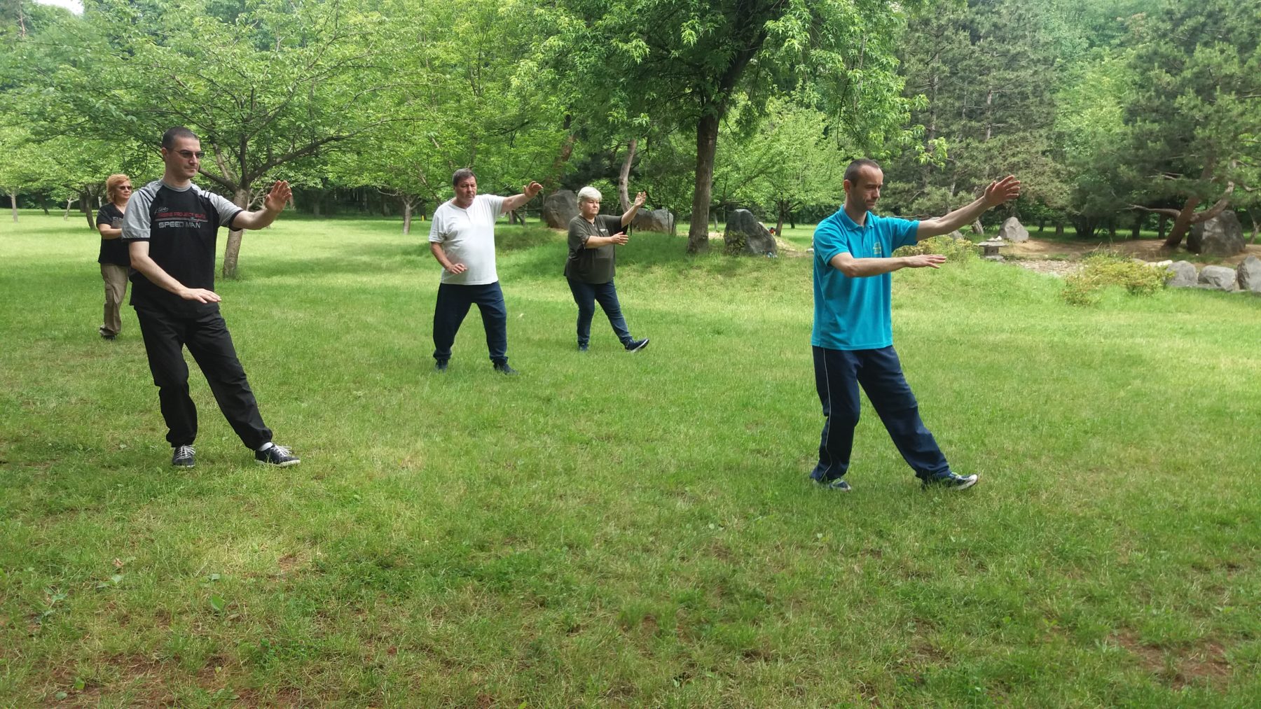 Curs Taijiquan – Materiale video