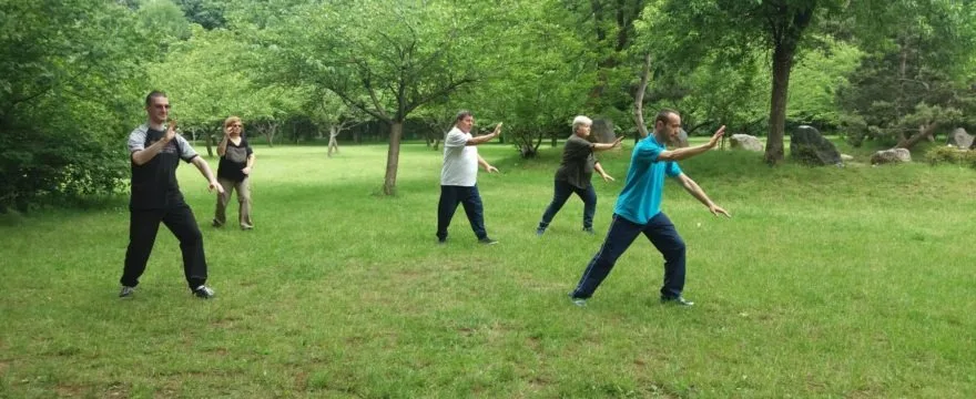 Seminar practic initiere Taijiquan 8-10 aprilie