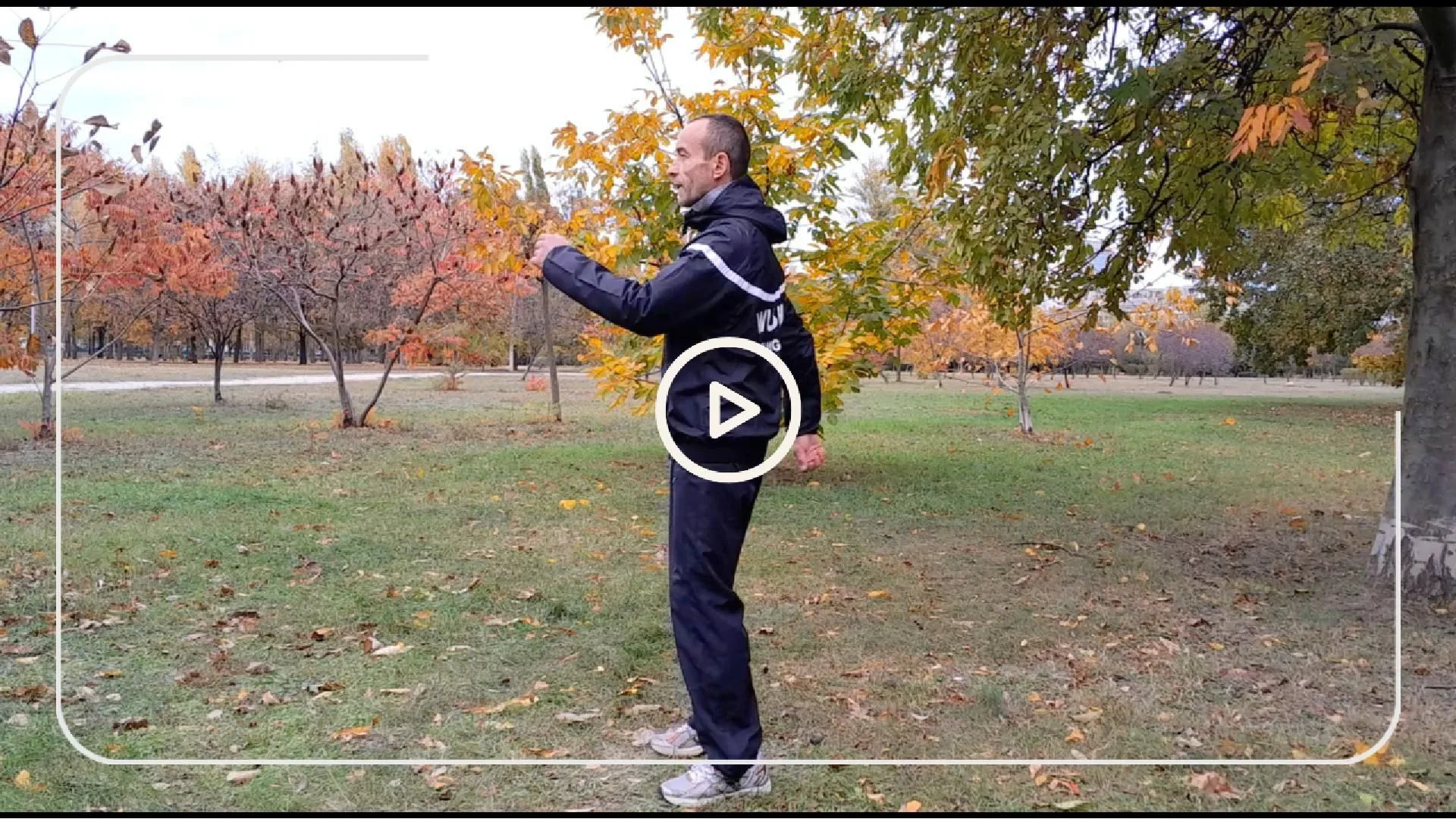 2-song-gong-balans-brate-Cover