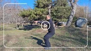 8-semi-genuflexiuni(2)-Cover