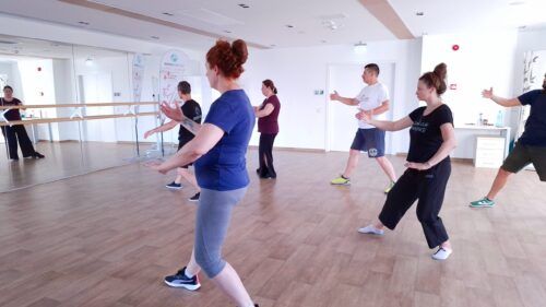 Seminar Taijiquan