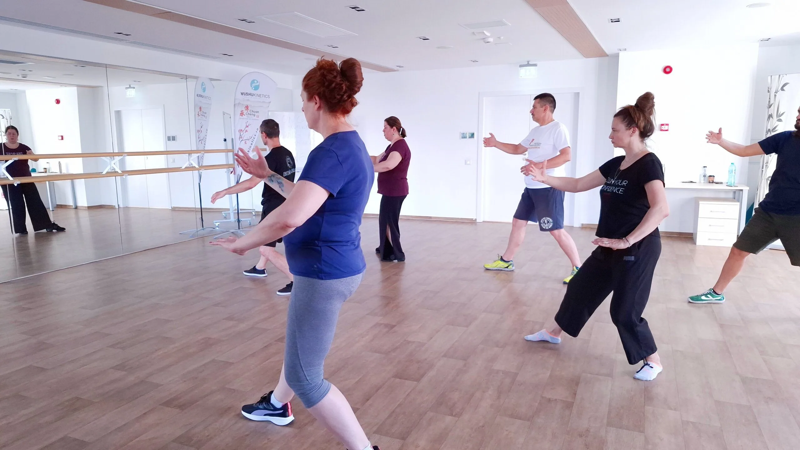 Curs initiere Taijiquan