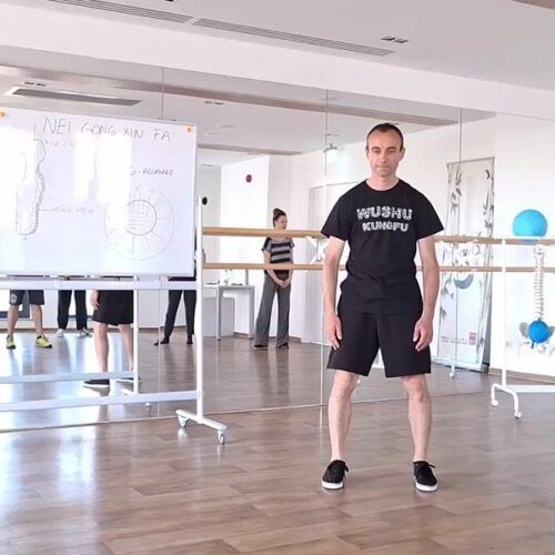 Curs intermediari Taijiquan